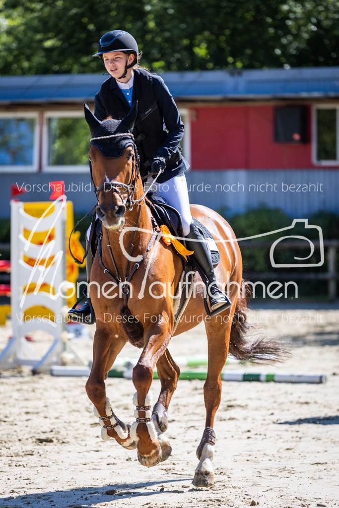 Donop24-A2Spr-203 | MomenTaufnahmen Pferdesportfotos