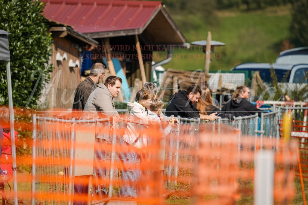 20250928_Hunderennen-398 | MuT (Mensch und Tier) mit Mona - Fotografie und Tierkommunikation - Realisiert mit Pictrs.com
