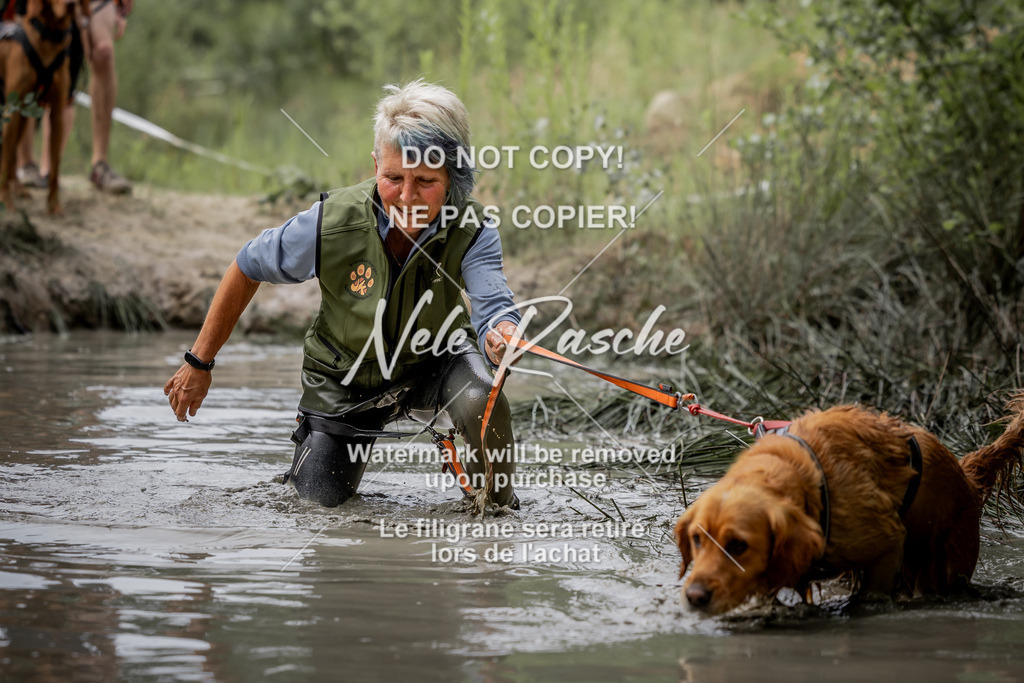 nelerasche_so0800-0930_235 | nelerasche
