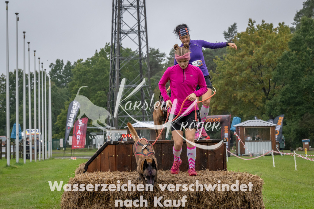 1329-93708 | kk-dogfotos