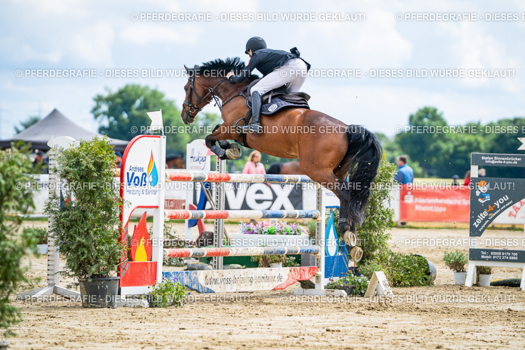 DSC05803 | Pferdegrafie