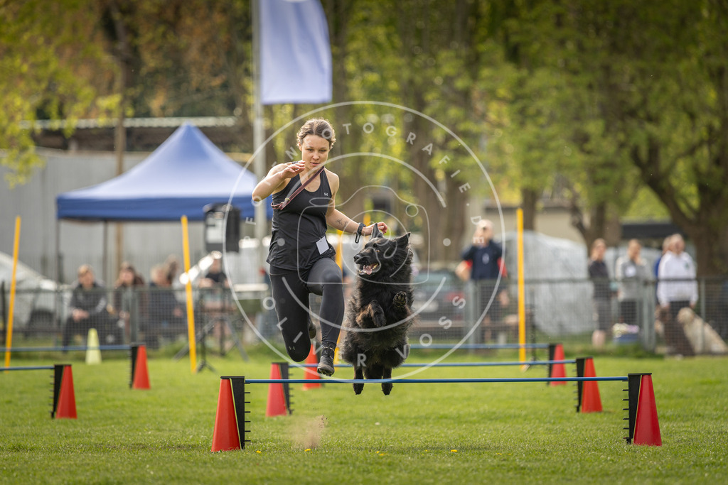Pfotenfotografie_DV3A5754 | Hundefotografie, Tierfotograf, Pfotenfotografie, Fotoshooting Hund, Hunde Portrait, Hundesport, Hundeportraits, Heideshooting, Hunde, Sportfotograf, Hundefotograf, Turnierhundsport, THS,  - Realisiert mit Pictrs.com