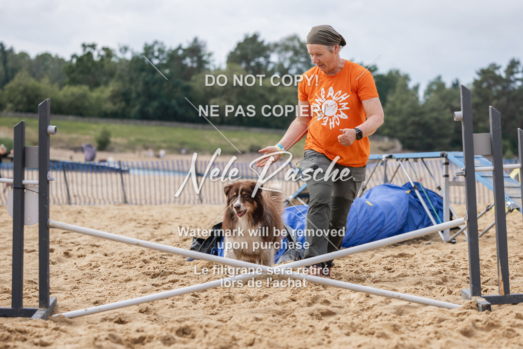 nelerasche_BuHu2026_So1530-Ende_116 | nelerasche