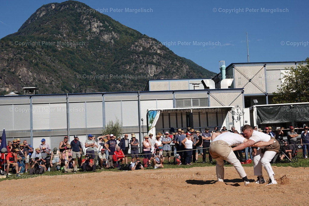 DSC01644 | Schwingen - Realisiert mit Pictrs.com