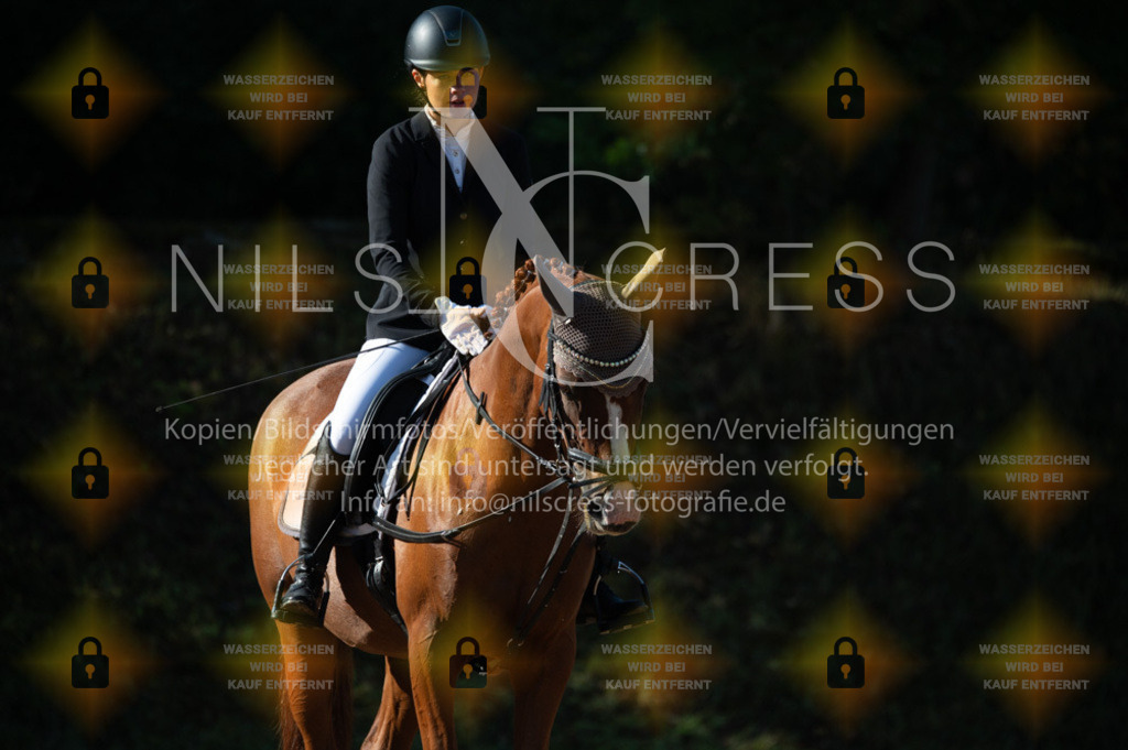 DSC_7922 | Nils Cress - Fotografie - Realisiert mit Pictrs.com