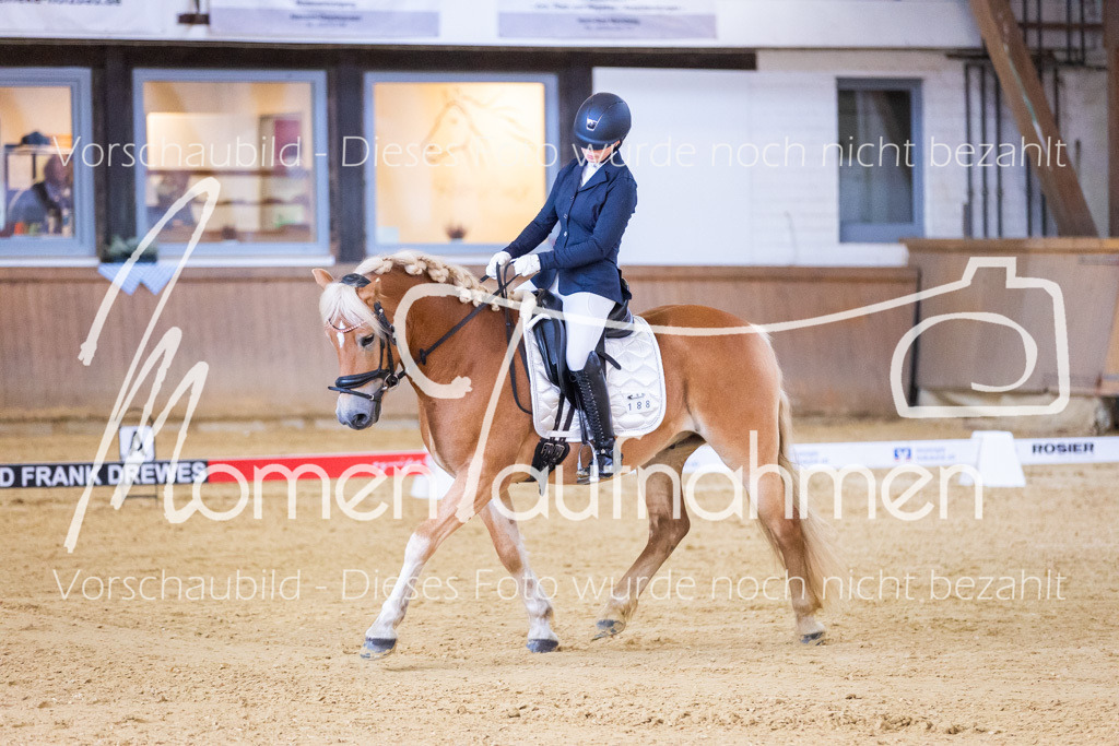 Sth-A-Dre-1St-101 | MomenTaufnahmen Pferdesportfotos