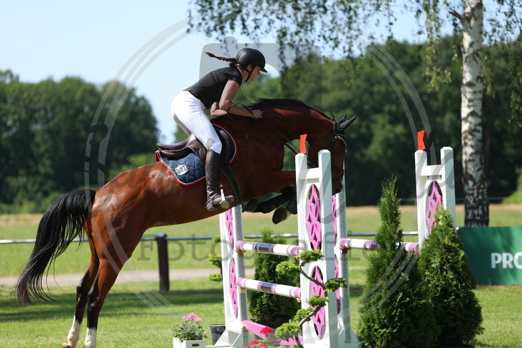 994A2919 | sabrinanicolaifotografie - Realisiert mit Pictrs.com