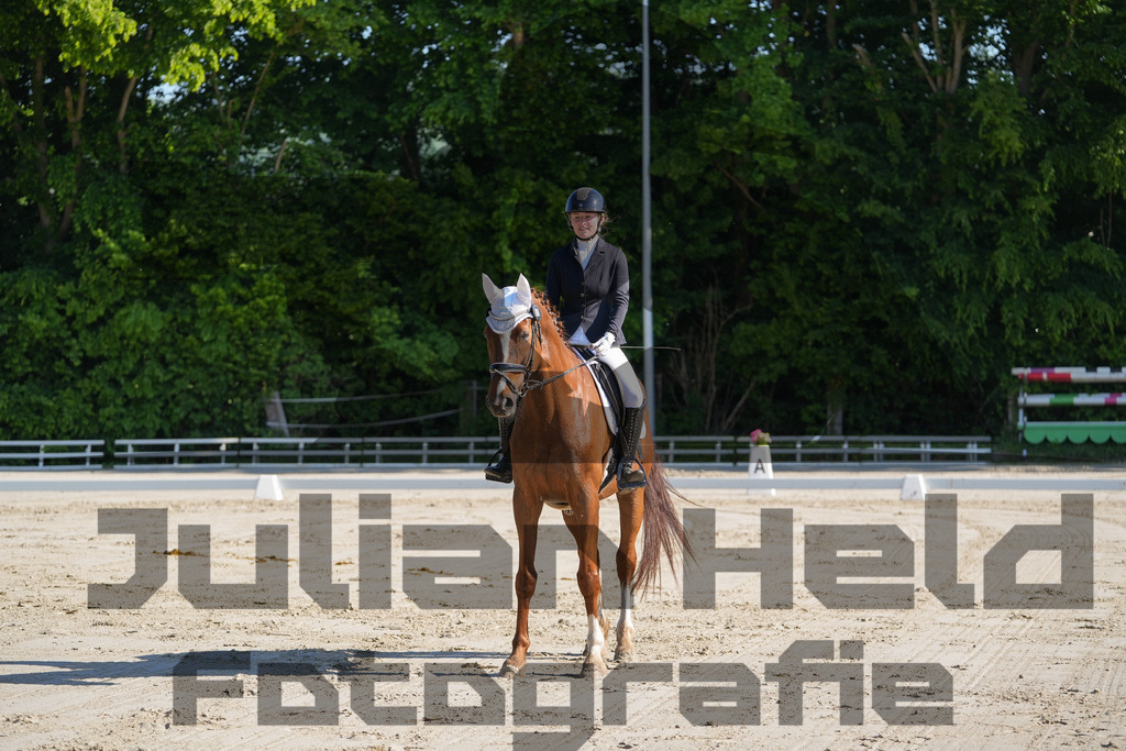 DSC02852 | Julian Held Fotografie - Realisiert mit Pictrs.com