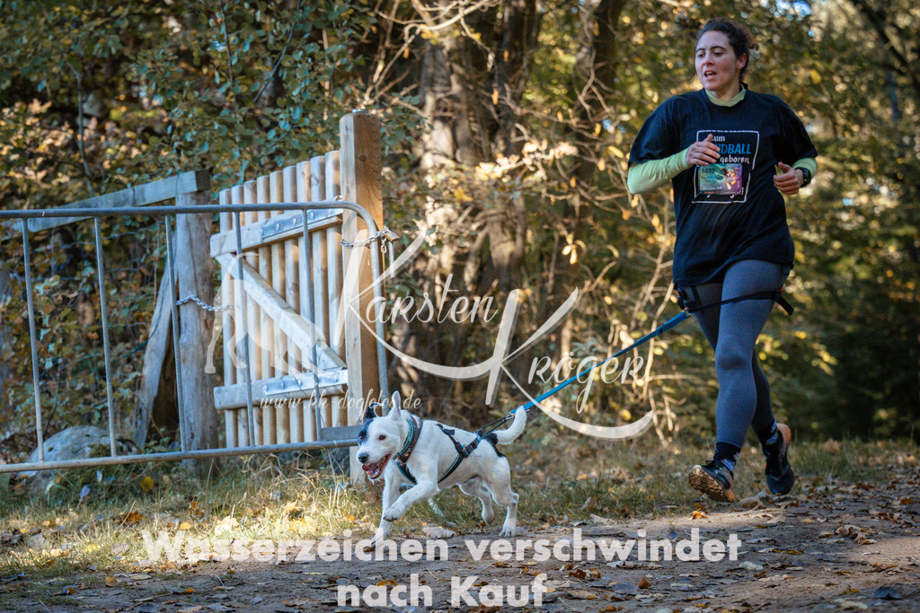 1100_ZZ91365 | kk-dogfotos