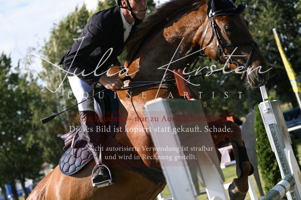 DSC_1487 | Pferde- und Turnierfotografie in Westsachsen. Pferdeportraits, Auftragszeichnungen und intuitive Kunst.