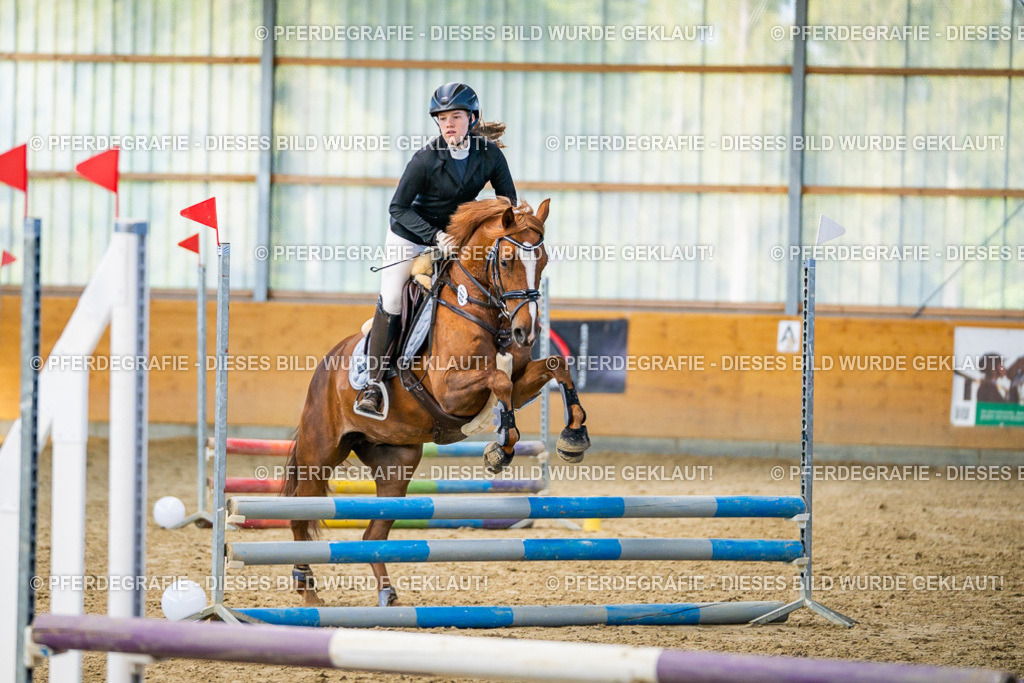 DSC01090 | Pferdegrafie