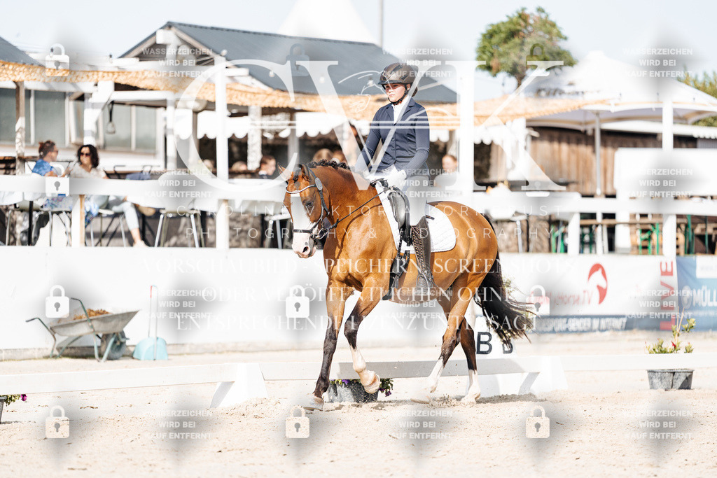 CK905403 | Turnierfotografie Pferdefotografie Trier Rheinland-Pfalz Pferdesport Reitsport Tierfotografie Sportfotografie Pferdevideo Pferdevideografie Equestrianvideography equestrianphotography  - Realisiert mit Pictrs.com