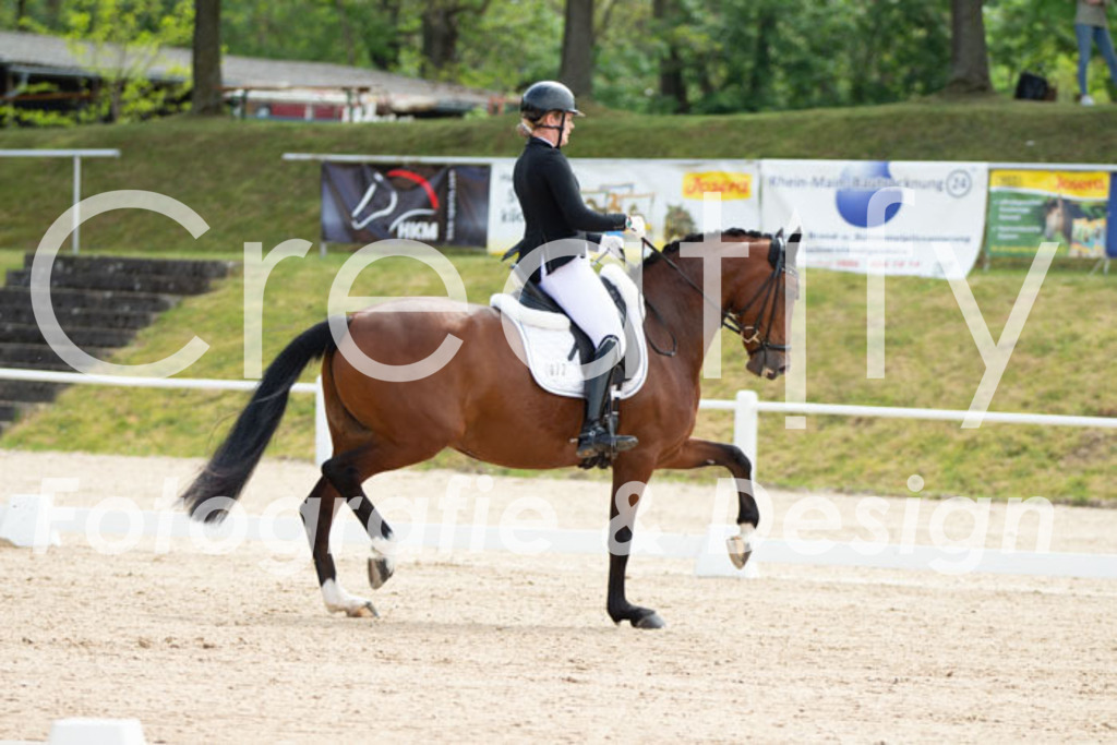 IMG_0554 | Creatify Fotografie