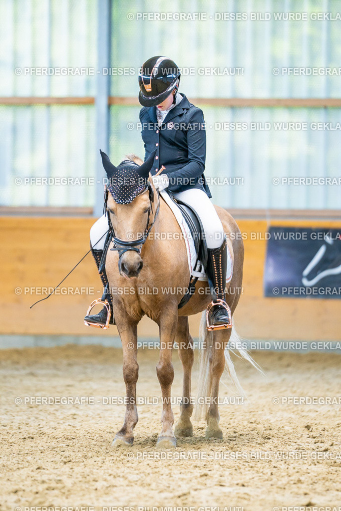 DSC07682 | Pferdegrafie