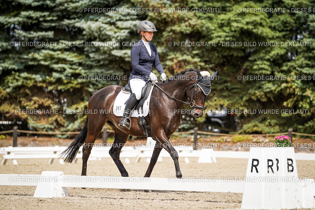 DSC02925 | Pferdegrafie