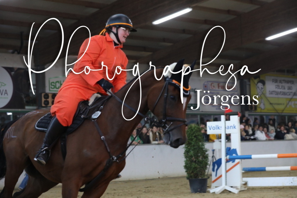 IMG_1981 | photographesa-joergens - Realisiert mit Pictrs.com