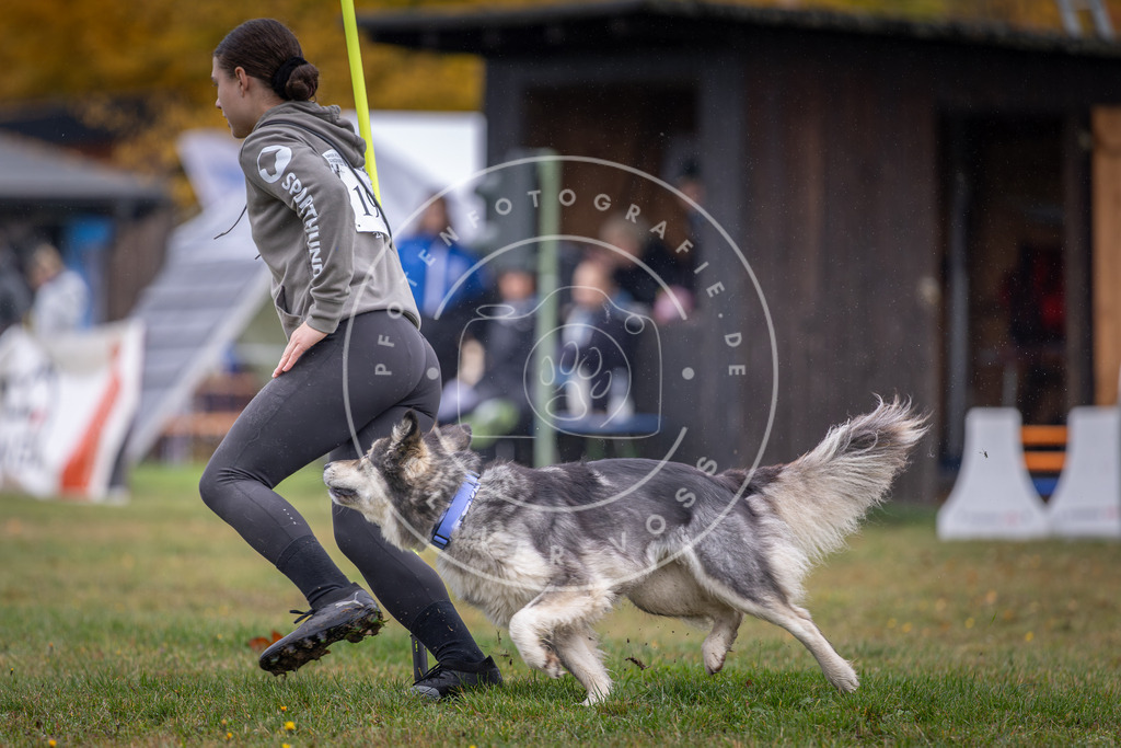 Pfotenfotografie_DV3A0658 | Hundefotografie, Tierfotograf, Pfotenfotografie, Fotoshooting Hund, Hunde Portrait, Hundesport, Hundeportraits, Heideshooting, Hunde, Sportfotograf, Hundefotograf, Turnierhundsport, THS,  - Realisiert mit Pictrs.com