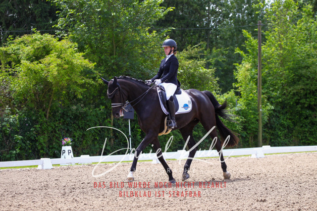 DKP40969 | Turnierfotos kaufen im Webshop von Daniel Kuhl Photography – entdecke professionelle Reitsportfotos aus Turnieren & Events. Hochwertige Turnierbilder online bestellen & sichern. Jetzt Fotos von Reitsportturnieren kaufen!