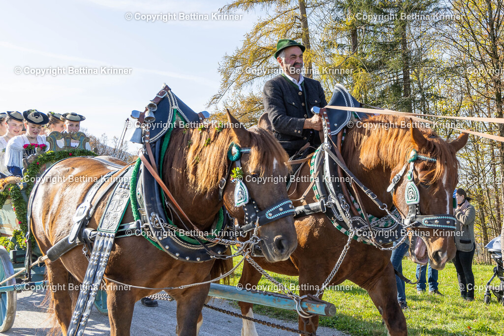 LBT24-1452 | foto-bettina-krinner - Realisiert mit Pictrs.com