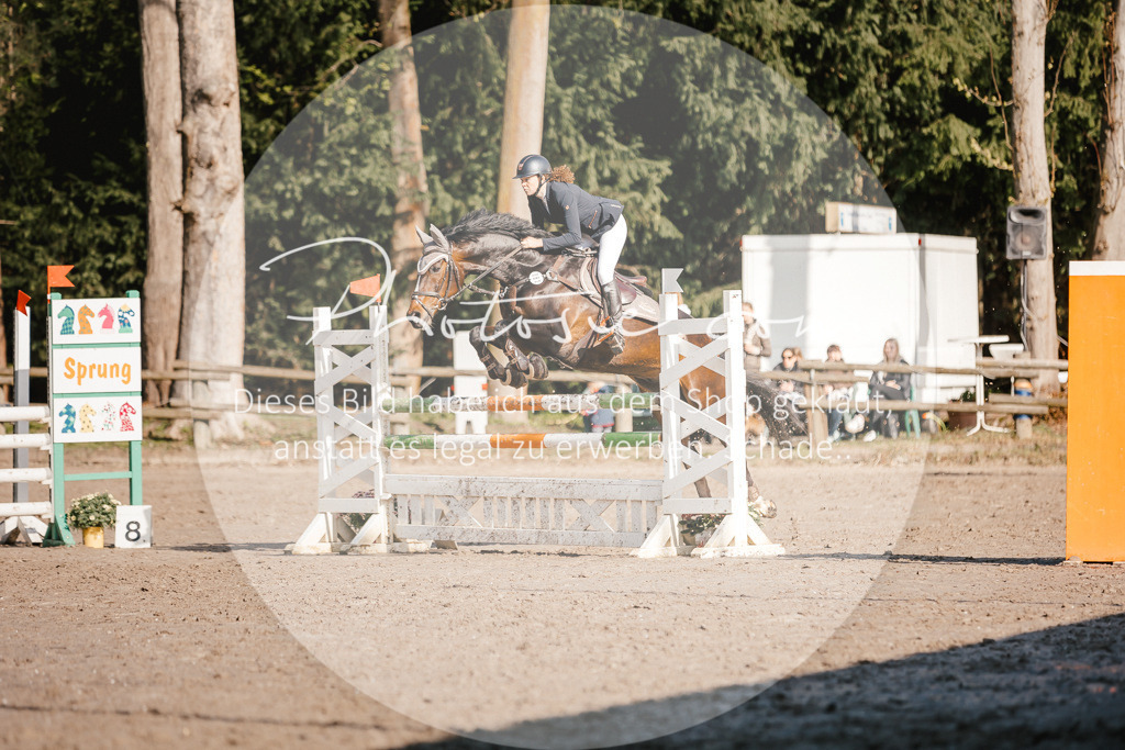3I6A3540 | Stimmungsvolle Portraits und Reitsportfotografie im Ruhrgebiet und im Münsterland.

Pferdefotografie, Hundefotografie, Tierfotografie, Reportagen, Portraits von Tier und Mensch, Turnierfotografie in Bochum, Recklinghausen, Marl, Haltern am See, Dülmen.. - Realisiert mit Pictrs.com