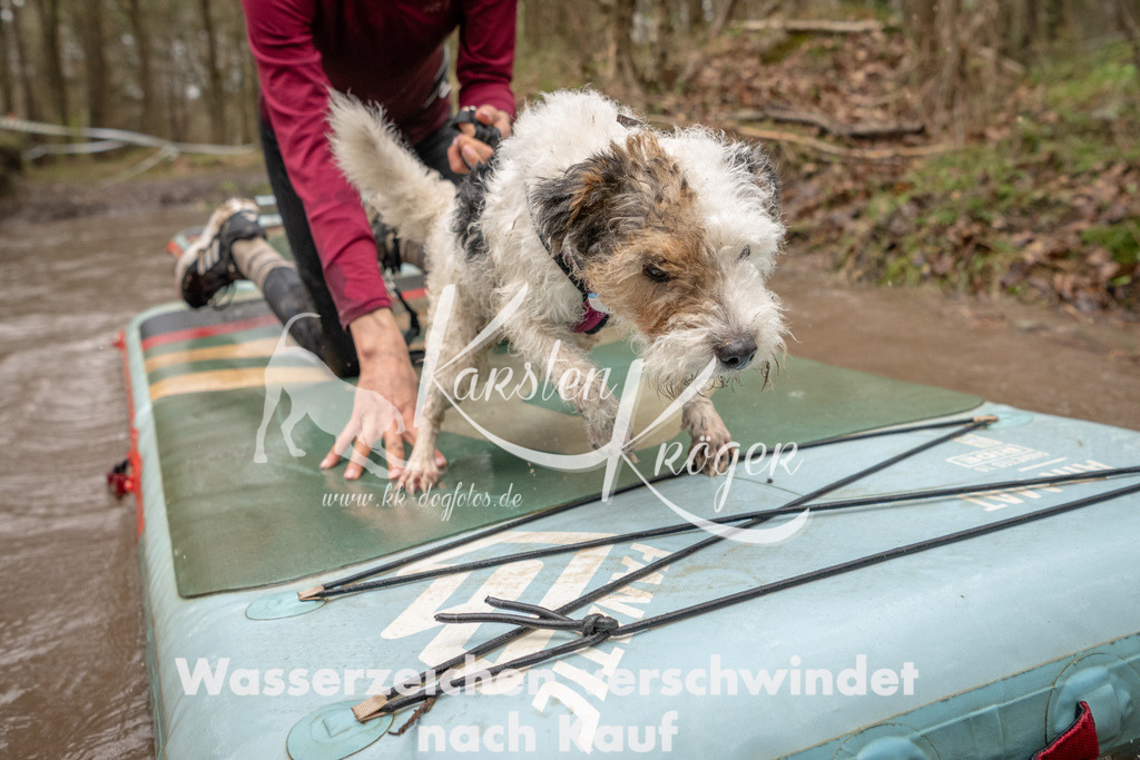 1135_ZZ93531 | kk-dogfotos