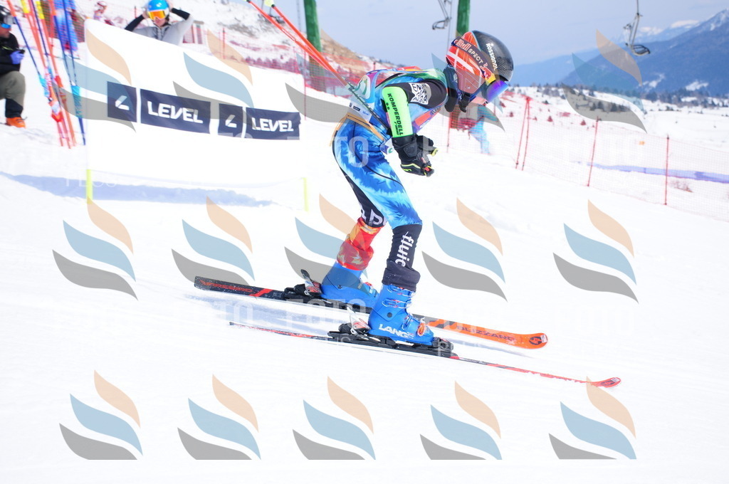 DSC_3193 | holidayphoto