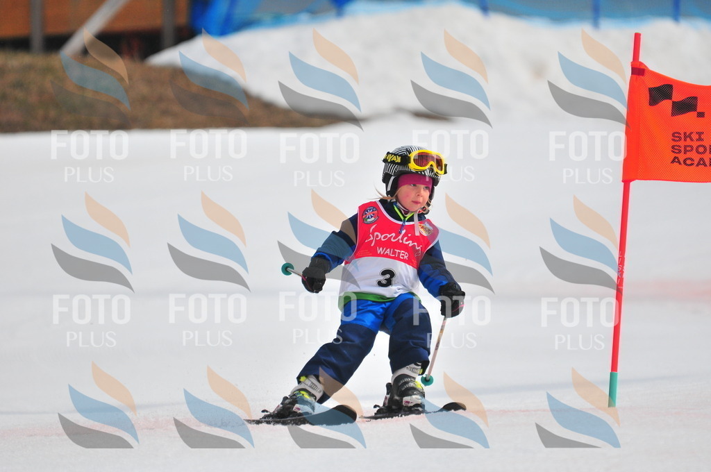 C0725 | holidayphoto