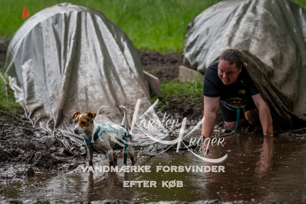 1508_ZZ91922 | kk-dogfotos