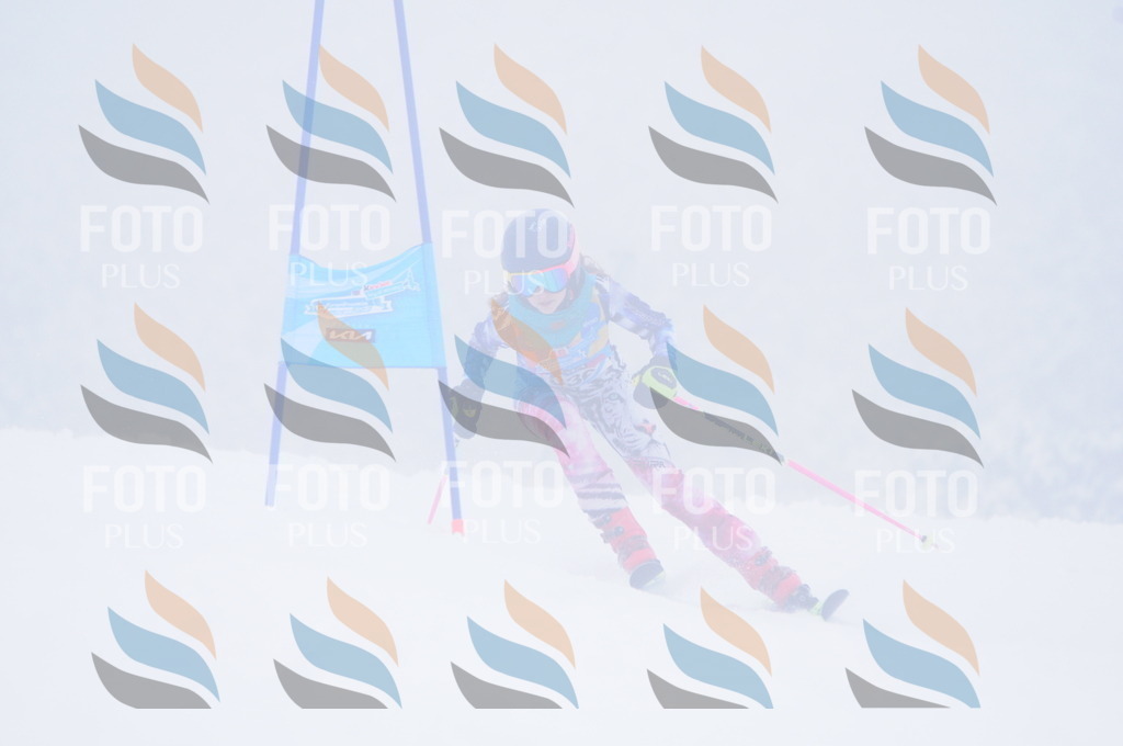 C3595 | holidayphoto