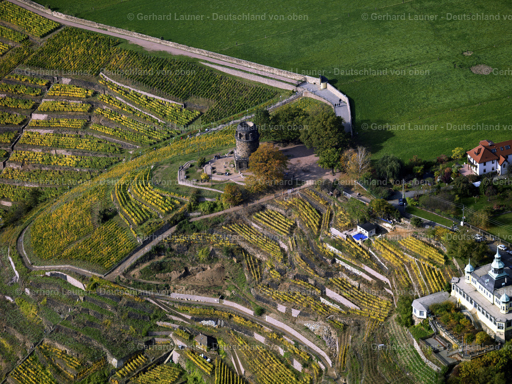 2888146 | Weinberge Radebeul, Bismarkturm