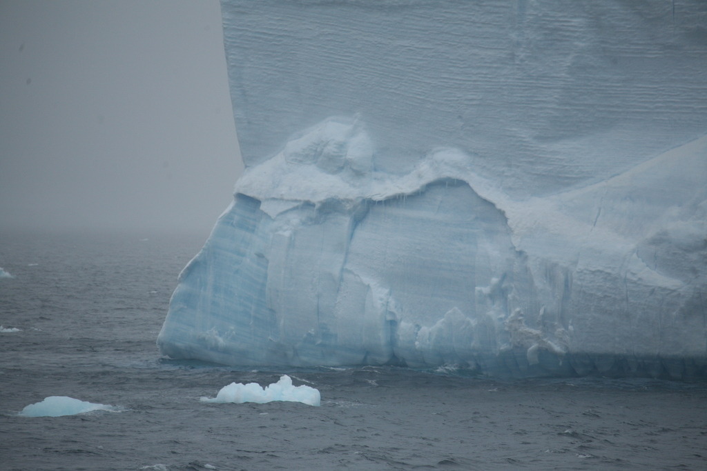 IMG_7911 | Antarktis / Antarctica - Realisiert mit Pictrs.com