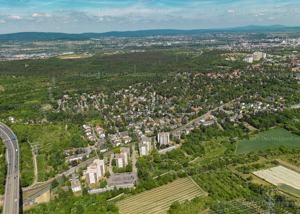 3108045-Gonsenheim-Mainz | Gonsenheim, Mainz