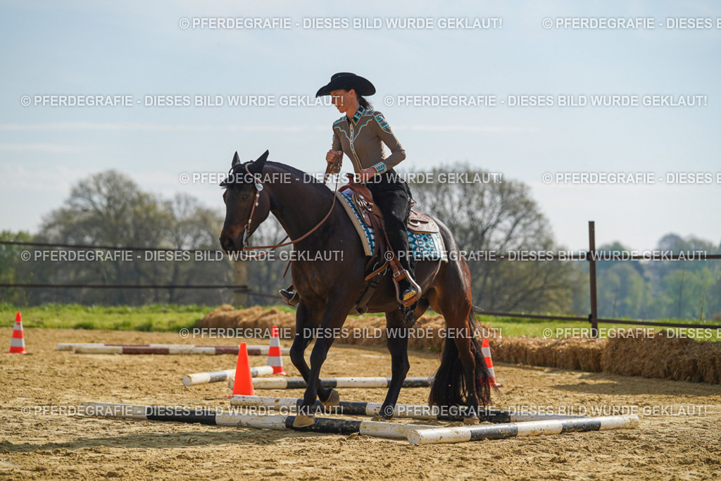 DSC01343 | Pferdegrafie