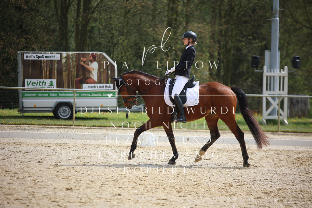 IMGT3746 | pl-fotografie