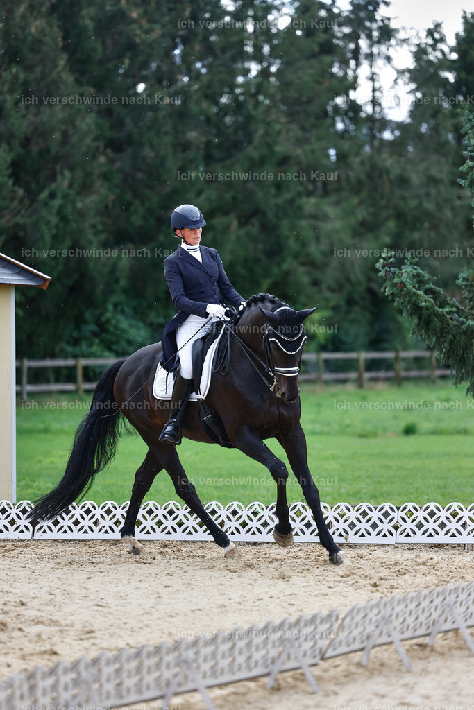 10-115-ST.GEORG SPECIAL -StoibPH-3195 | working equitationturnier fotograf videograf stoibphotography marixx film working equitation deutschland reitsport turnierfotografie eventfotografie equestrian events