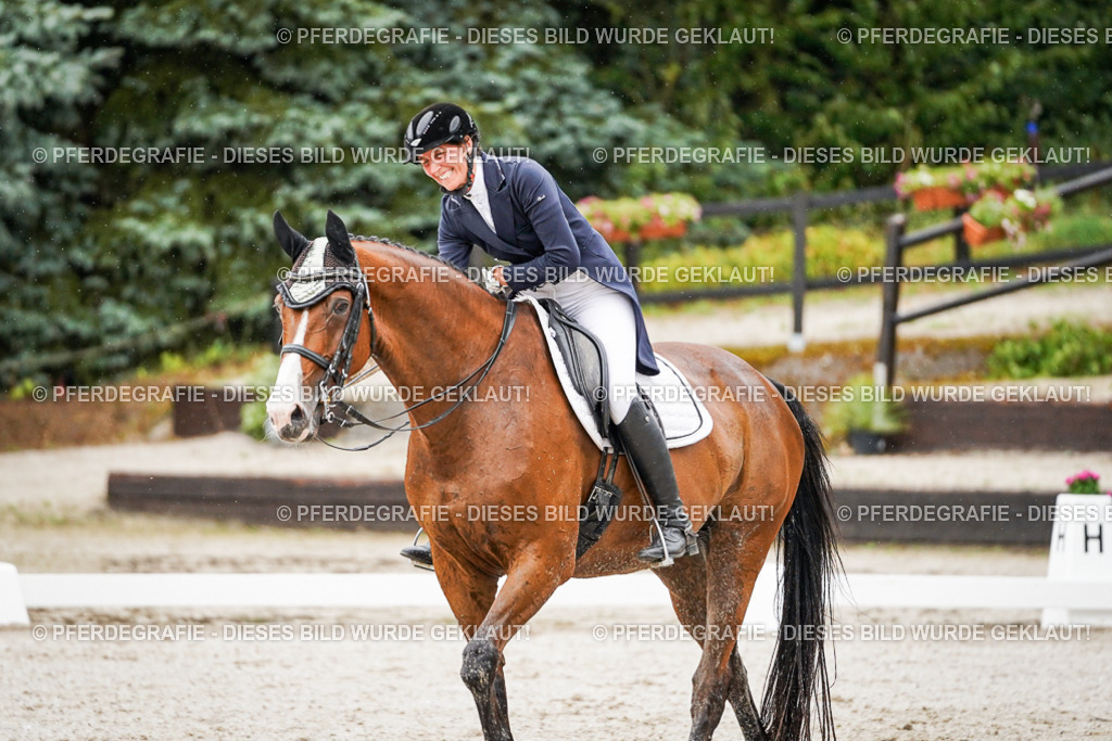 DSC08699 | Pferdegrafie