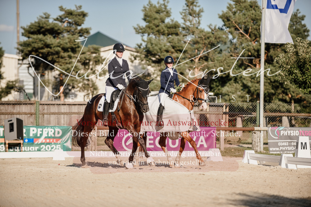 DSC_0757 | Pferde- und Turnierfotografie in Westsachsen. Pferdeportraits, Auftragszeichnungen und intuitive Kunst.