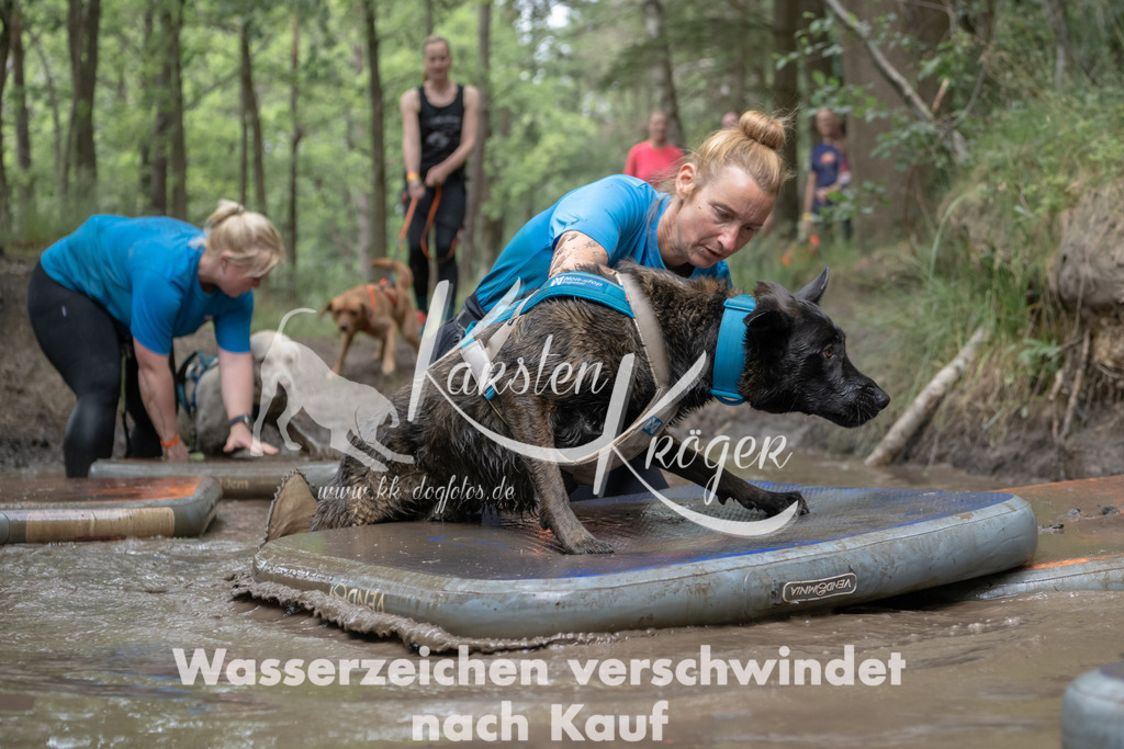 1332_ZZ94427 | kk-dogfotos