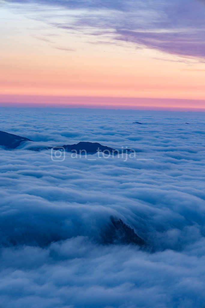 A.Trupina-96 | antonija-trupina - Realisiert mit Pictrs.com