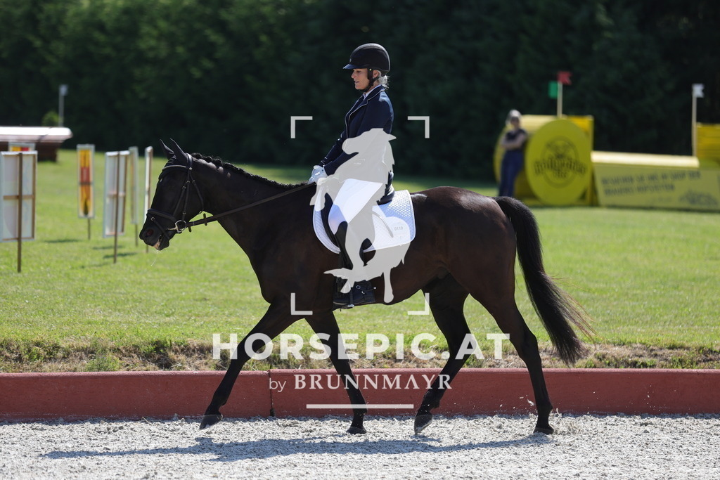 0P6A9885 | Willkommen bei Brunnmayr - Design & Fotografie – Ihrem Spezialisten für Reitturniere und Pferdeveranstaltungen in Oberösterreich, Salzburg und Bayern! Seit über 17 Jahren sind wir leidenschaftlich dabei.