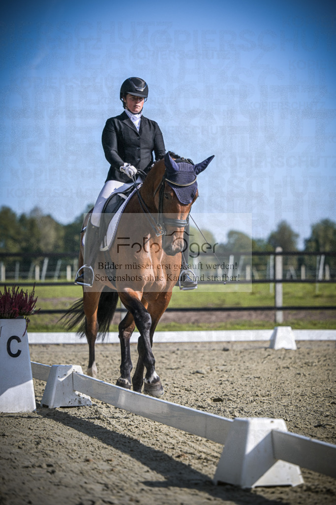 DOS_1414 | Entdecke hochwertige Reitturnierfotos von Foto Oger. Professionell, emotional und authentisch – jetzt Lieblingsmomente im Shop bestellen.Deutschlandweite Turnierfotografie. - Realisiert mit Pictrs.com