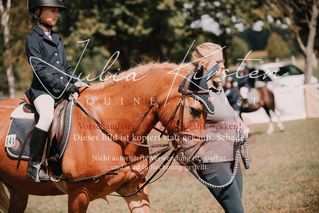 DSC_5975 | Pferde- und Turnierfotografie in Westsachsen. Pferdeportraits, Auftragszeichnungen und intuitive Kunst.