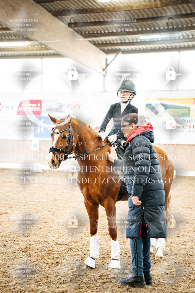 CK703020 | Turnierfotografie Pferdefotografie Trier Rheinland-Pfalz Pferdesport Reitsport Tierfotografie Sportfotografie Pferdevideo Pferdevideografie Equestrianvideography equestrianphotography  - Realisiert mit Pictrs.com