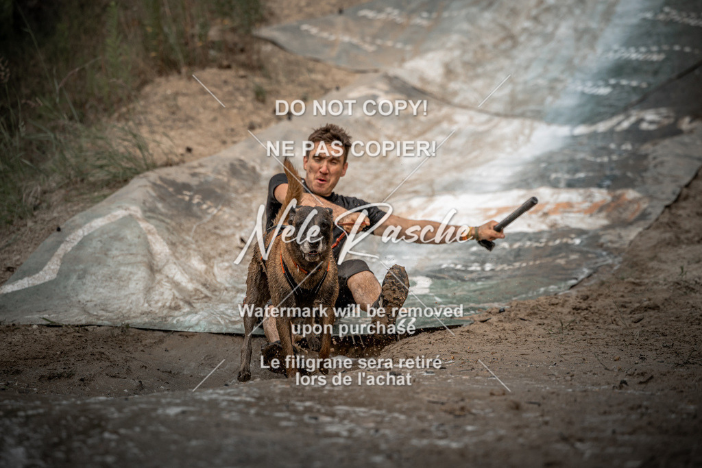 nelerasche_sa1600-1700_120 | nelerasche
