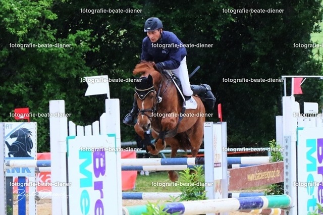 OHT2281 | Fotografie, Tiere, Hunde, Katzen, Pferde, Sportfotografie, Fotosession, Tierfotografie, Turnierfotografie, Fotografin, Fotograf - Realisiert mit Pictrs.com