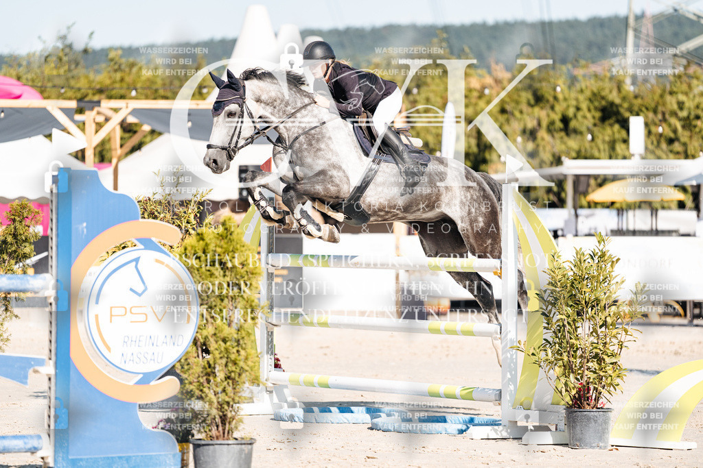 CK904676 | Turnierfotografie Pferdefotografie Trier Rheinland-Pfalz Pferdesport Reitsport Tierfotografie Sportfotografie Pferdevideo Pferdevideografie Equestrianvideography equestrianphotography  - Realisiert mit Pictrs.com