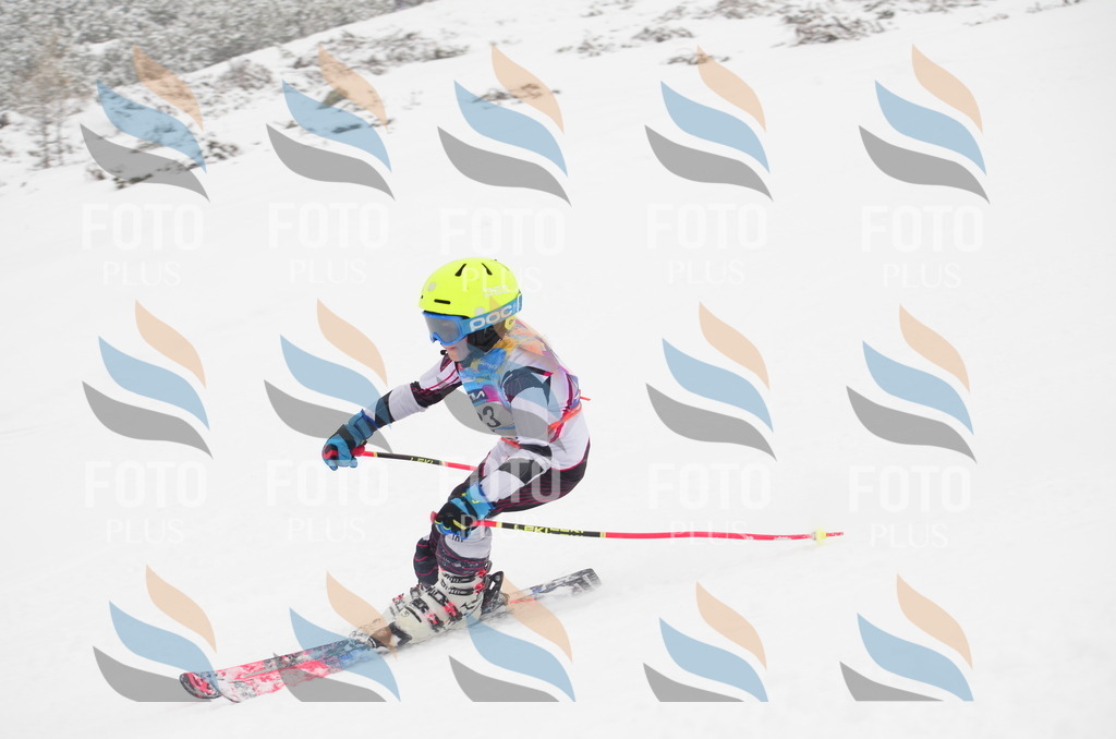 C0694 | holidayphoto