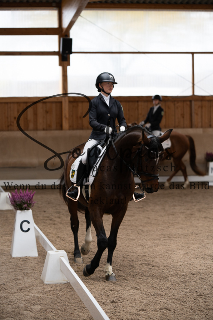 A7V02432 | Pferdefotograf