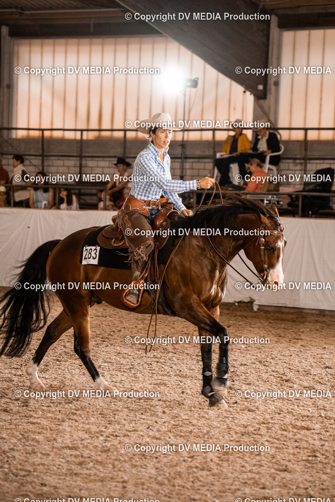 ZH300485 | dv-media-shop - Realisiert mit Pictrs.com