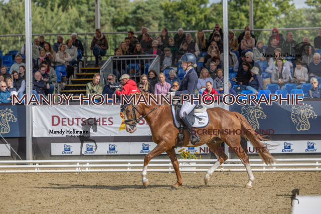 RPF 4j SH 5 (1160 von 1810) | mandyhollmannphotographie